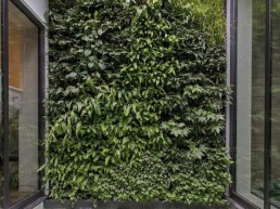 living wall in a home
