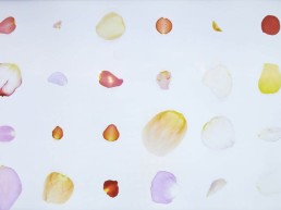 sarah mayohas ai petals on screen