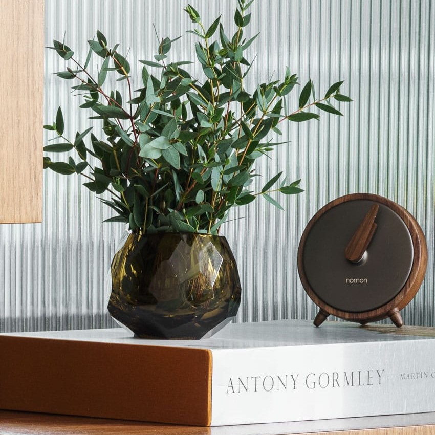 indoor plants in glass bowl on office side cabinet