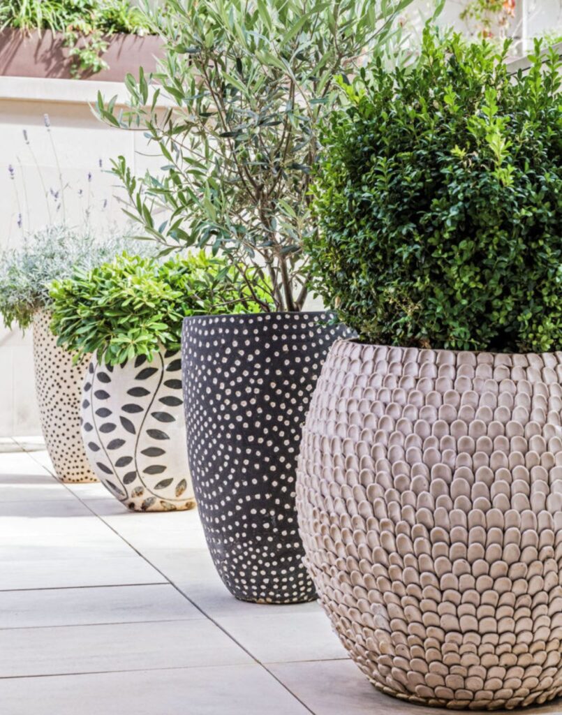 plants in giant plant pots